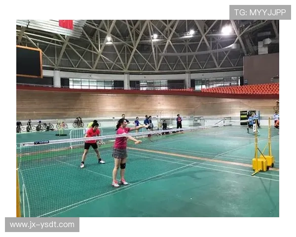 上海羽毛球队实力分析与表现评估探讨
