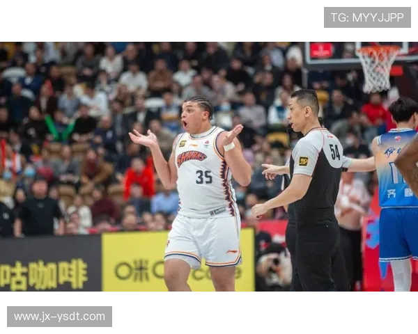 上海羽毛球队转型之路：从传统强队到新兴力量的深度解析