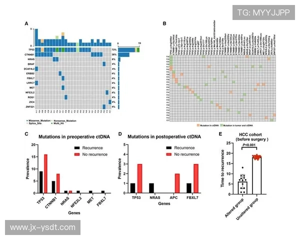 全球足球明星全景图谱汇总与历史成就解析