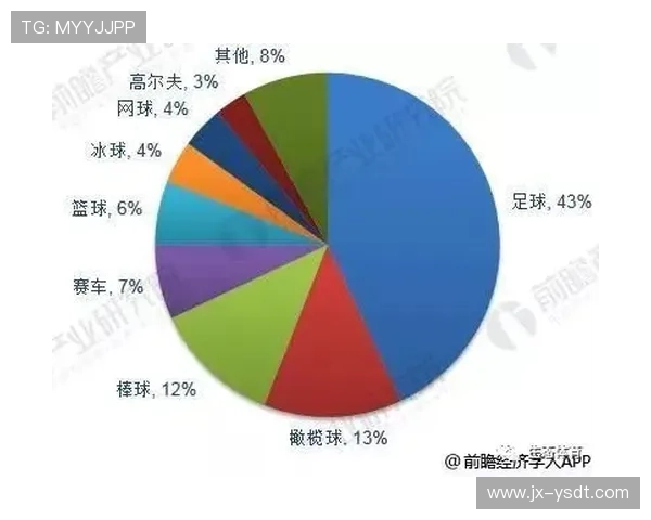 全球足球明星风采展示与成就解析PPT演示文稿