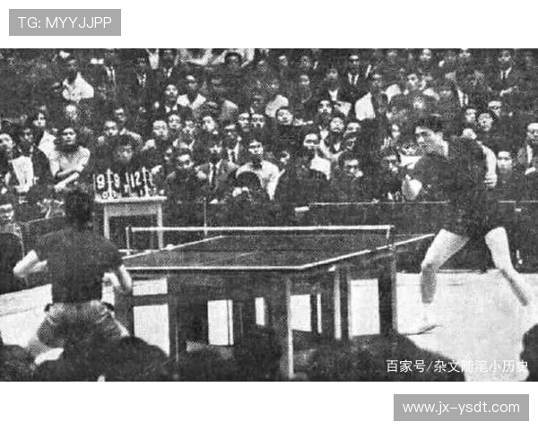 武汉乒乓球队的崛起与发展探秘：力量与潜力的深度分析