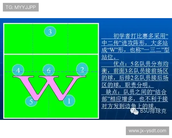 广州排球队整体压制打法深度解析与战术应用探讨