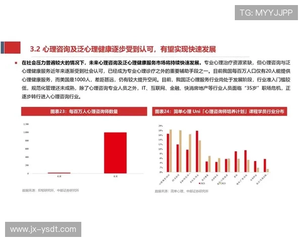 西安羽毛球队在钻石联赛中的实力展现与未来发展潜力分析